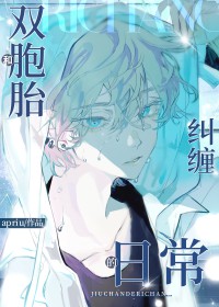 和双胞胎小说