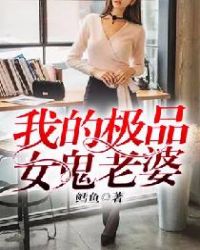 我的极品女人小说